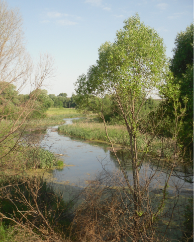 img02 img02